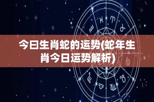 今曰生肖蛇的运势(蛇年生肖今日运势解析)