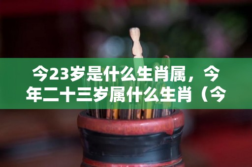 今23岁是什么生肖属，今年二十三岁属什么生肖（今年23岁是什么生肖?）