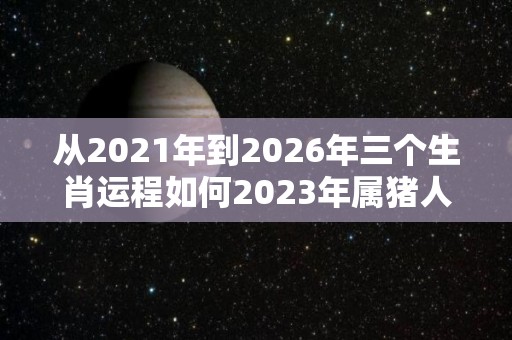 从2021年到2026年三个生肖运程如何2023年属猪人的工作运势