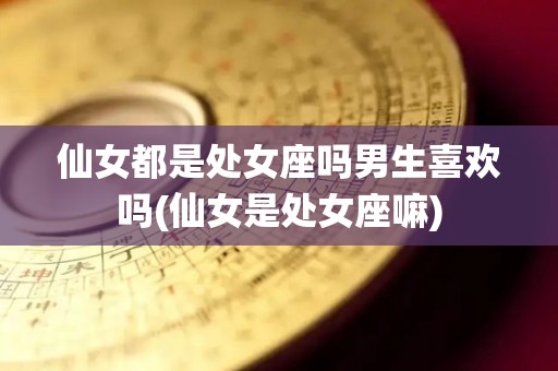 仙女都是处女座吗男生喜欢吗(仙女是处女座嘛)