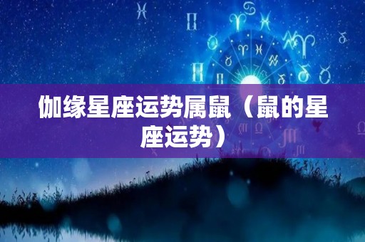伽缘星座运势属鼠（鼠的星座运势）