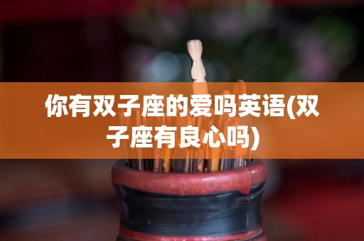 你有双子座的爱吗英语(双子座有良心吗)
