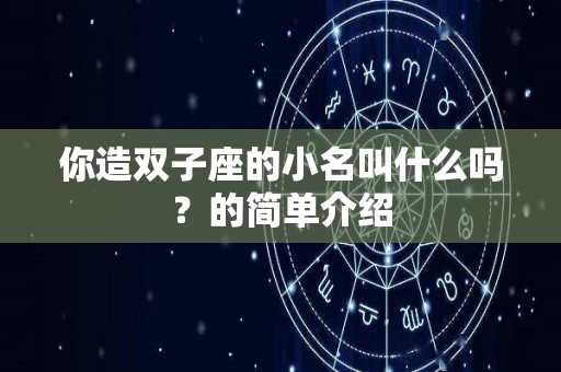 你造双子座的小名叫什么吗？的简单介绍