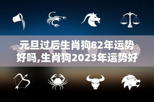 元旦过后生肖狗82年运势好吗,生肖狗2023年运势好吗2023年运势好吗