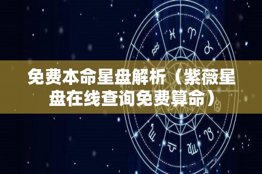 免费本命星盘解析（紫薇星盘在线查询免费算命）