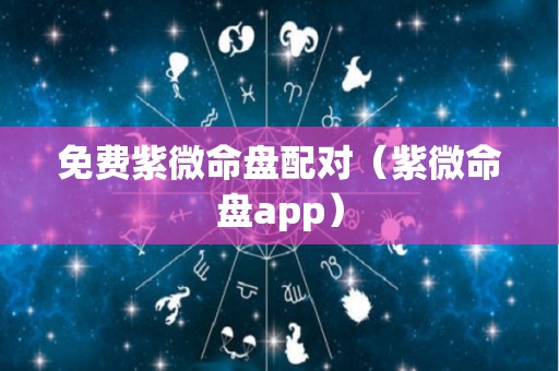 免费紫微命盘配对（紫微命盘app）