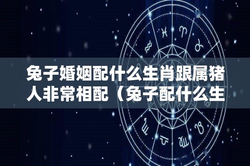 兔子婚姻配什么生肖跟属猪人非常相配（兔子配什么生肖好）