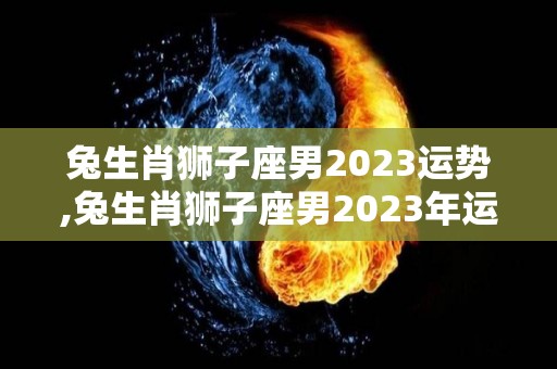 兔生肖狮子座男2023运势,兔生肖狮子座男2023年运势