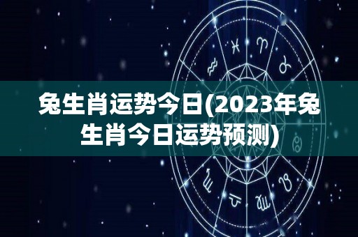 兔生肖运势今日(2023年兔生肖今日运势预测)