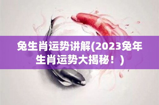 兔生肖运势讲解(2023兔年生肖运势大揭秘！)