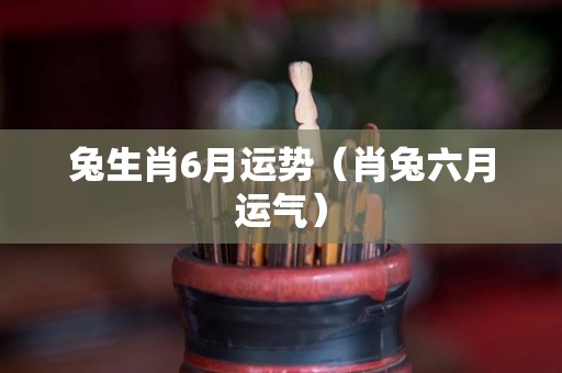 兔生肖6月运势（肖兔六月运气）