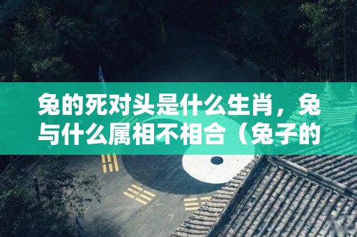 兔的死对头是什么生肖，兔与什么属相不相合（兔子的死对头是什么动物）