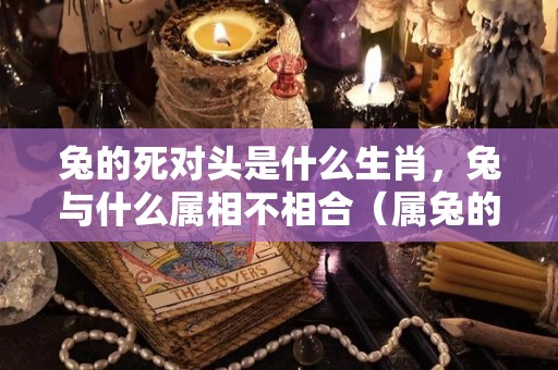 兔的死对头是什么生肖，兔与什么属相不相合（属兔的死对头属性）