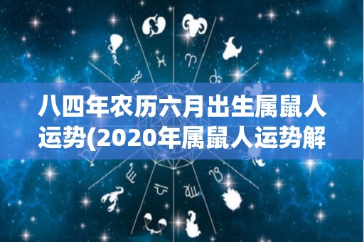 八四年农历六月出生属鼠人运势(2020年属鼠人运势解析)