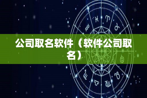 公司取名软件（软件公司取名）