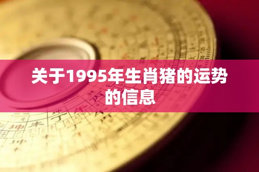 关于1995年生肖猪的运势的信息