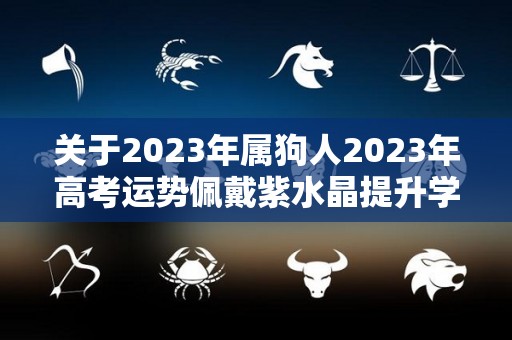关于2023年属狗人2023年高考运势佩戴紫水晶提升学业运势的信息