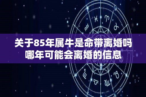 关于85年属牛是命带离婚吗哪年可能会离婚的信息