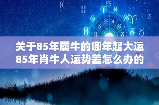 关于85年属牛的哪年起大运85年肖牛人运势差怎么办的信息