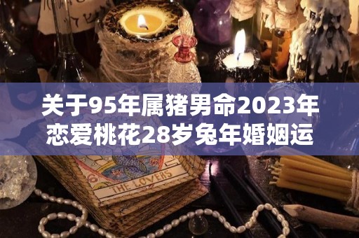 关于95年属猪男命2023年恋爱桃花28岁兔年婚姻运的信息