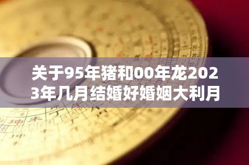 关于95年猪和00年龙2023年几月结婚好婚姻大利月分析的信息