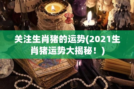 关注生肖猪的运势(2021生肖猪运势大揭秘！)