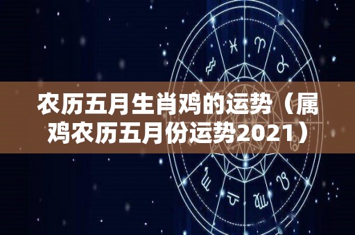 农历五月生肖鸡的运势（属鸡农历五月份运势2021）