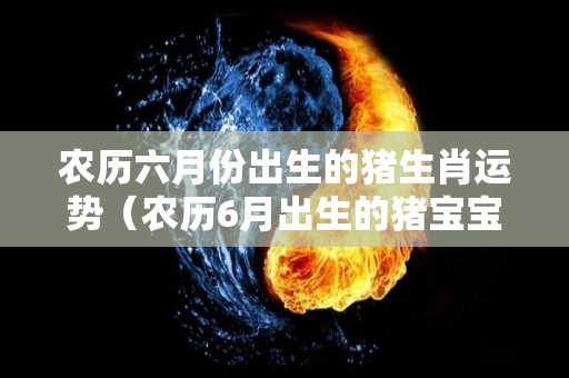 农历六月份出生的猪生肖运势（农历6月出生的猪宝宝好吗）