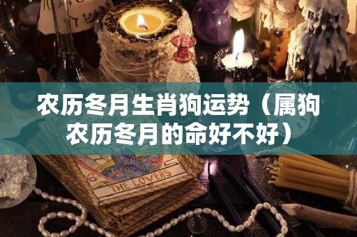 农历冬月生肖狗运势（属狗农历冬月的命好不好）