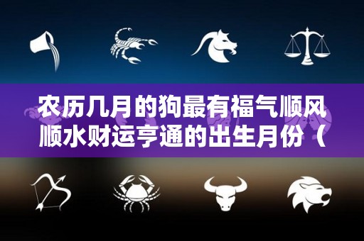 农历几月的狗最有福气顺风顺水财运亨通的出生月份（生肖狗农历几月出生命好）