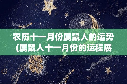 农历十一月份属鼠人的运势(属鼠人十一月份的运程展望)