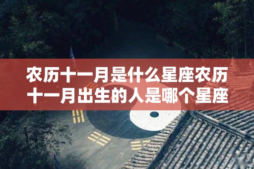 农历十一月是什么星座农历十一月出生的人是哪个星座（农历十一月份是什么星座的人）