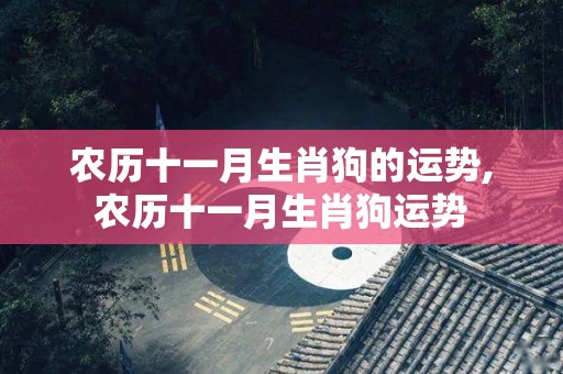 农历十一月生肖狗的运势,农历十一月生肖狗运势