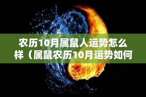 农历10月属鼠人运势怎么样（属鼠农历10月运势如何）