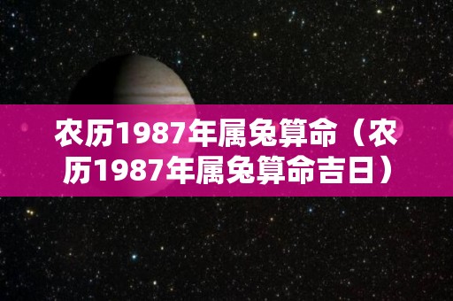 农历1987年属兔算命（农历1987年属兔算命吉日）