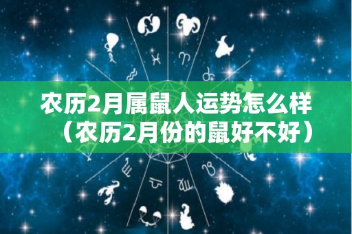 农历2月属鼠人运势怎么样（农历2月份的鼠好不好）