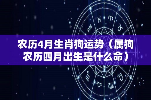 农历4月生肖狗运势（属狗农历四月出生是什么命）