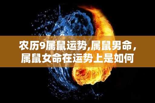农历9属鼠运势,属鼠男命，属鼠女命在运势上是如何