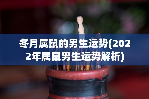 冬月属鼠的男生运势(2022年属鼠男生运势解析)