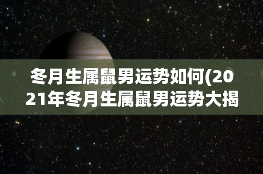 冬月生属鼠男运势如何(2021年冬月生属鼠男运势大揭秘)