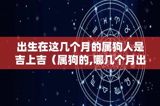 出生在这几个月的属狗人是吉上吉（属狗的,哪几个月出生不好?）