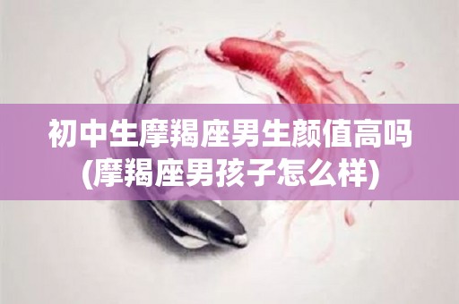 初中生摩羯座男生颜值高吗(摩羯座男孩子怎么样)
