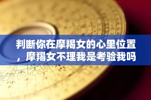 判断你在摩羯女的心里位置，摩羯女不理我是考验我吗