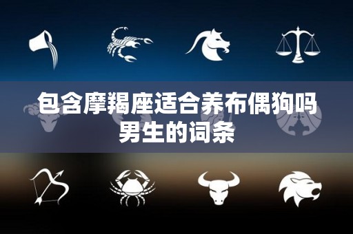 包含摩羯座适合养布偶狗吗男生的词条