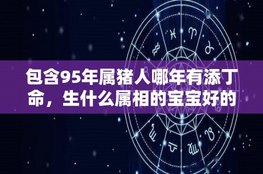 包含95年属猪人哪年有添丁命，生什么属相的宝宝好的词条