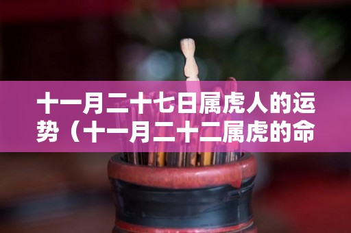 十一月二十七日属虎人的运势（十一月二十二属虎的命运）