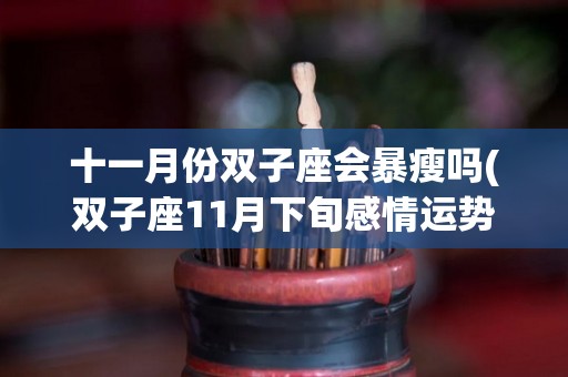 十一月份双子座会暴瘦吗(双子座11月下旬感情运势)