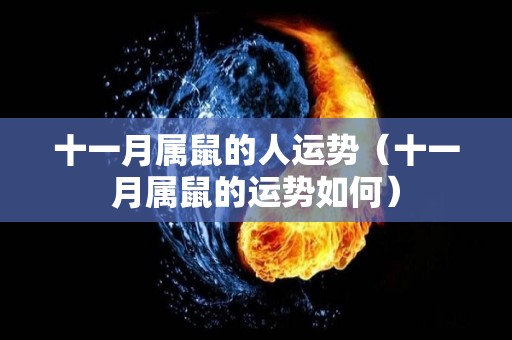十一月属鼠的人运势（十一月属鼠的运势如何）