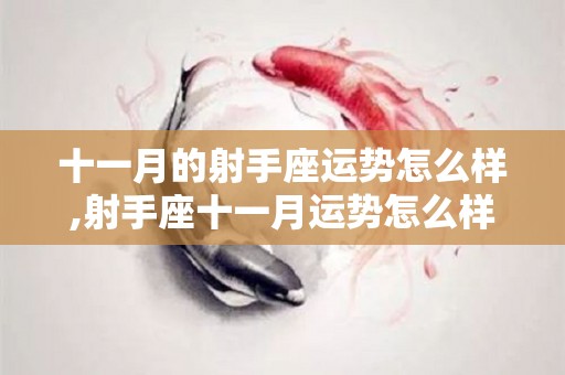 十一月的射手座运势怎么样,射手座十一月运势怎么样