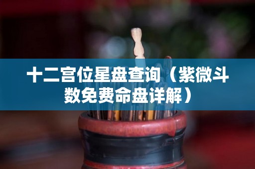 十二宫位星盘查询（紫微斗数免费命盘详解）